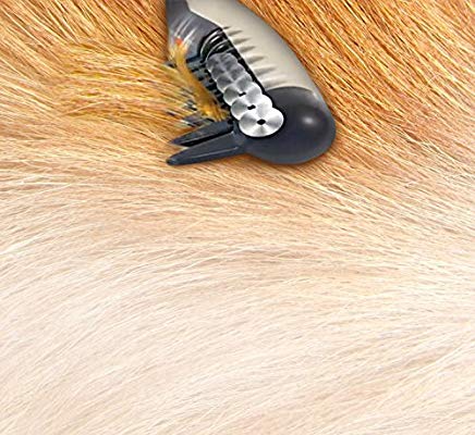 برس برقی موی حیوانات خانگی